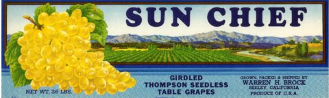 Sun Chief
